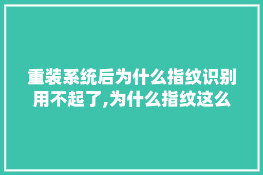 重装系统后为什么指纹识别用不起了,为什么指纹这么奇怪呢。 重装系统后为什么指纹识别用不起了,为什么指纹这么奇怪呢。 百度SEO