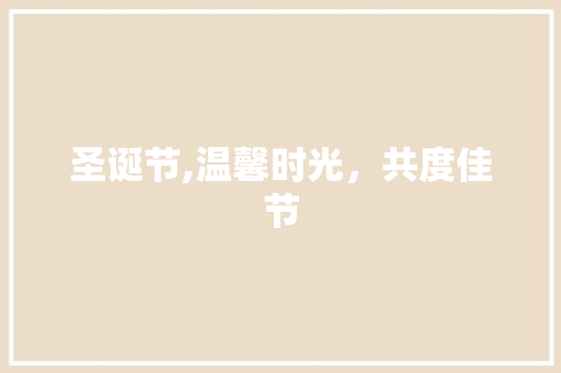圣诞节,温馨时光，共度佳节 圣诞节,温馨时光，共度佳节 SEO关键词