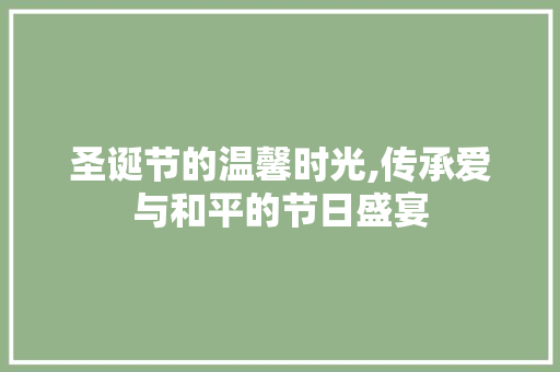 圣诞节的温馨时光,传承爱与和平的节日盛宴 圣诞节的温馨时光,传承爱与和平的节日盛宴 SEO关键词