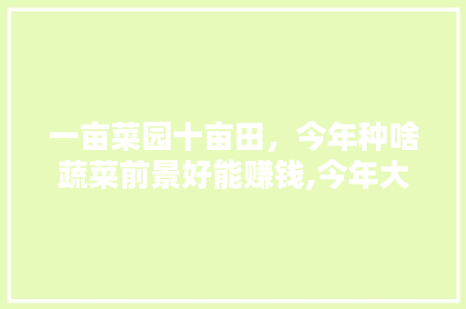 一亩菜园十亩田，今年种啥蔬菜前景好能赚钱,今年大头菜为什么这么贵了。
