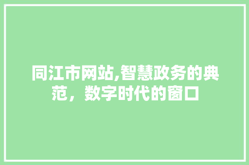 同江市网站,智慧政务的典范，数字时代的窗口