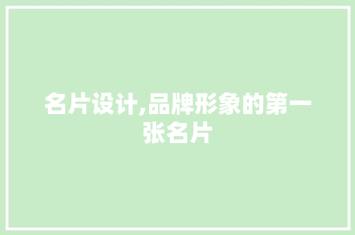 名片设计,品牌形象的第一张名片 名片设计,品牌形象的第一张名片 神马SEO