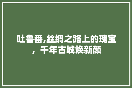 吐鲁番,丝绸之路上的瑰宝，千年古城焕新颜 吐鲁番,丝绸之路上的瑰宝，千年古城焕新颜 神马SEO