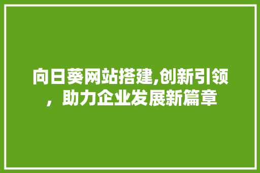 向日葵网站搭建,创新引领，助力企业发展新篇章 向日葵网站搭建,创新引领，助力企业发展新篇章 百度SEO