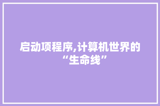 启动项程序,计算机世界的“生命线” 启动项程序,计算机世界的“生命线” 神马SEO