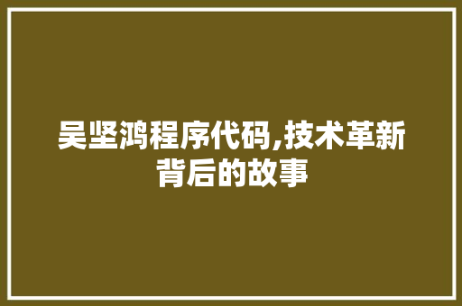 吴坚鸿程序代码,技术革新背后的故事
