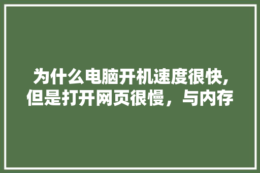 为什么电脑开机速度很快,但是打开网页很慢，与内存有没有关系,网站空间为什么访问慢了。 为什么电脑开机速度很快,但是打开网页很慢，与内存有没有关系,网站空间为什么访问慢了。 必应SEO