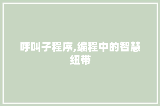 呼叫子程序,编程中的智慧纽带 呼叫子程序,编程中的智慧纽带 必应SEO
