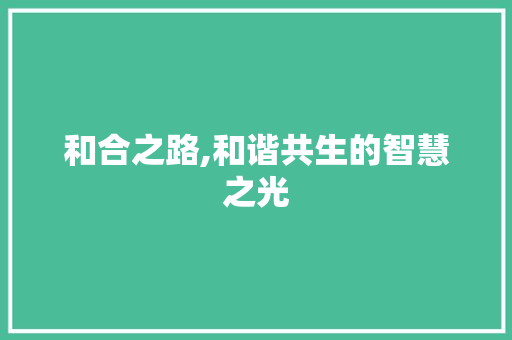 和合之路,和谐共生的智慧之光 和合之路,和谐共生的智慧之光 SEO关键词