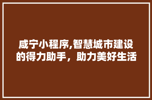 咸宁小程序,智慧城市建设的得力助手，助力美好生活新篇章 咸宁小程序,智慧城市建设的得力助手，助力美好生活新篇章 必应SEO