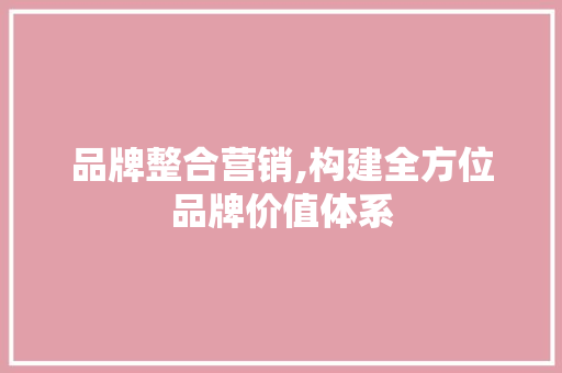 品牌整合营销,构建全方位品牌价值体系