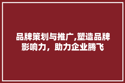 品牌策划与推广,塑造品牌影响力，助力企业腾飞