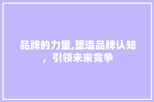 品牌的力量,塑造品牌认知，引领未来竞争 品牌的力量,塑造品牌认知，引领未来竞争 神马SEO