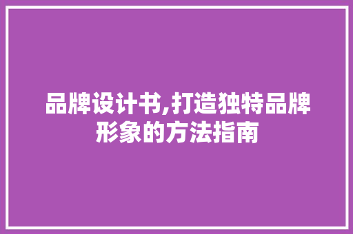 品牌设计书,打造独特品牌形象的方法指南