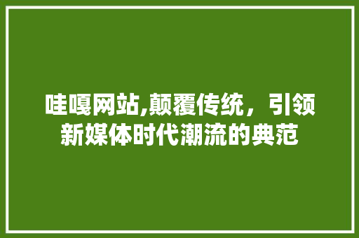 哇嘎网站,颠覆传统，引领新媒体时代潮流的典范 哇嘎网站,颠覆传统，引领新媒体时代潮流的典范 神马SEO