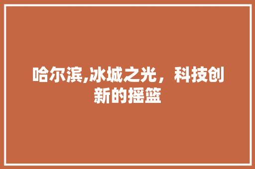 哈尔滨,冰城之光，科技创新的摇篮 哈尔滨,冰城之光，科技创新的摇篮 网站建设公司