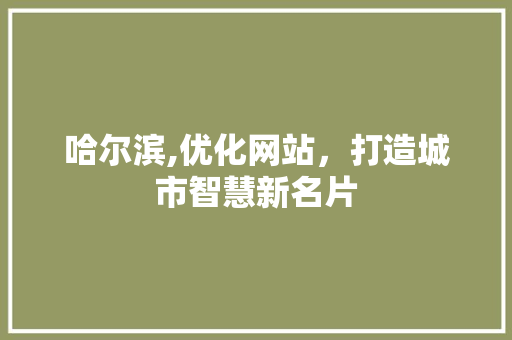哈尔滨,优化网站，打造城市智慧新名片 哈尔滨,优化网站，打造城市智慧新名片 神马SEO