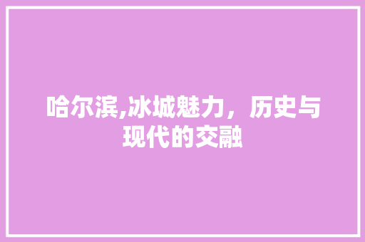 哈尔滨,冰城魅力，历史与现代的交融 哈尔滨,冰城魅力，历史与现代的交融 必应SEO