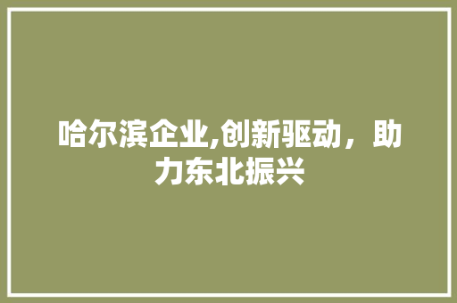 哈尔滨企业,创新驱动，助力东北振兴 哈尔滨企业,创新驱动，助力东北振兴 神马SEO