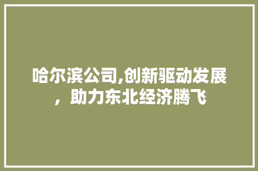 哈尔滨公司,创新驱动发展，助力东北经济腾飞 哈尔滨公司,创新驱动发展，助力东北经济腾飞 神马SEO