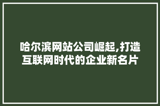 哈尔滨网站公司崛起,打造互联网时代的企业新名片 哈尔滨网站公司崛起,打造互联网时代的企业新名片 网站建设公司