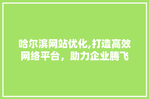 哈尔滨网站优化,打造高效网络平台，助力企业腾飞 哈尔滨网站优化,打造高效网络平台，助力企业腾飞 神马SEO