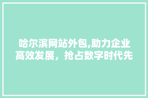 哈尔滨网站外包,助力企业高效发展，抢占数字时代先机 哈尔滨网站外包,助力企业高效发展，抢占数字时代先机 网站建设公司