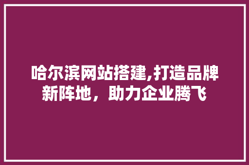 哈尔滨网站搭建,打造品牌新阵地，助力企业腾飞 哈尔滨网站搭建,打造品牌新阵地，助力企业腾飞 网站建设公司