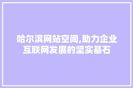 哈尔滨网站空间,助力企业互联网发展的坚实基石 哈尔滨网站空间,助力企业互联网发展的坚实基石 神马SEO