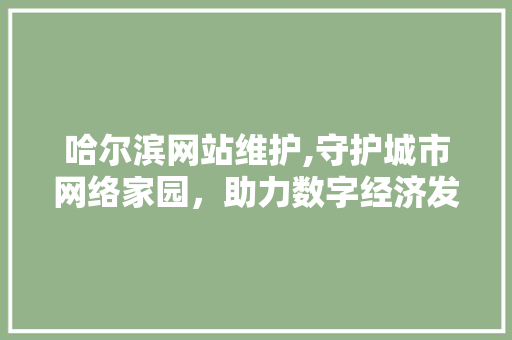 哈尔滨网站维护,守护城市网络家园，助力数字经济发展