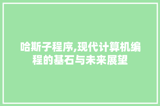 哈斯子程序,现代计算机编程的基石与未来展望 哈斯子程序,现代计算机编程的基石与未来展望 必应SEO