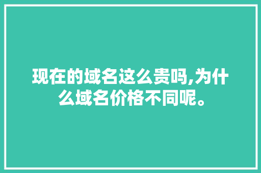现在的域名这么贵吗,为什么域名价格不同呢。 现在的域名这么贵吗,为什么域名价格不同呢。 SEO关键词
