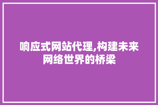 响应式网站代理,构建未来网络世界的桥梁 响应式网站代理,构建未来网络世界的桥梁 SEO关键词