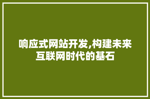 响应式网站开发,构建未来互联网时代的基石 响应式网站开发,构建未来互联网时代的基石 必应SEO