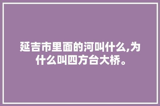 延吉市里面的河叫什么,为什么叫四方台大桥。 延吉市里面的河叫什么,为什么叫四方台大桥。 搜狗SEO