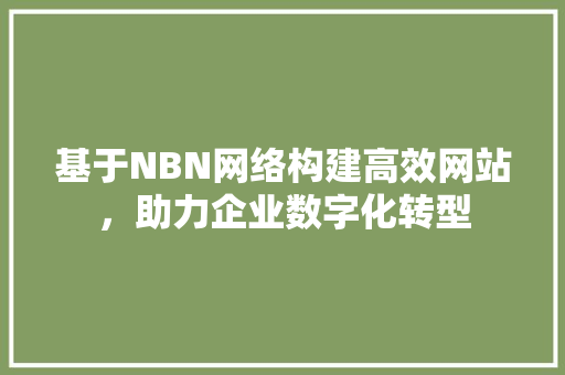 基于NBN网络构建高效网站，助力企业数字化转型 基于NBN网络构建高效网站，助力企业数字化转型 百度SEO