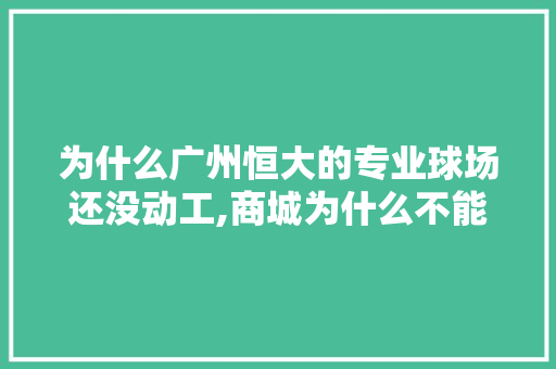 为什么广州恒大的专业球场还没动工,商城为什么不能建造呢。 为什么广州恒大的专业球场还没动工,商城为什么不能建造呢。 SEO关键词