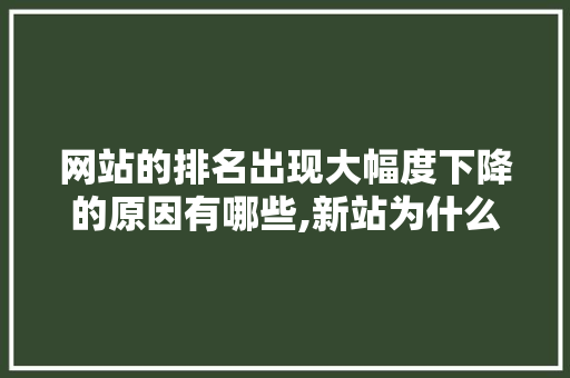 网站的排名出现大幅度下降的原因有哪些,新站为什么只收录首页信息。 网站的排名出现大幅度下降的原因有哪些,新站为什么只收录首页信息。 搜狗SEO