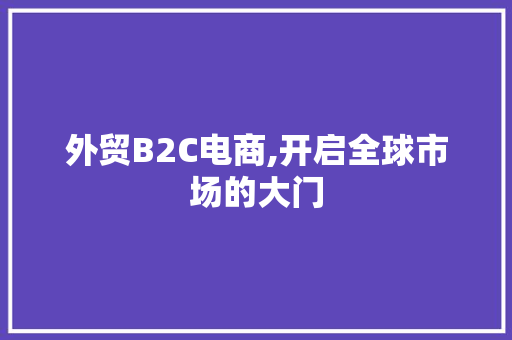 外贸B2C电商,开启全球市场的大门 外贸B2C电商,开启全球市场的大门 神马SEO