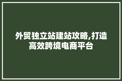 外贸独立站建站攻略,打造高效跨境电商平台 外贸独立站建站攻略,打造高效跨境电商平台 SEO关键词