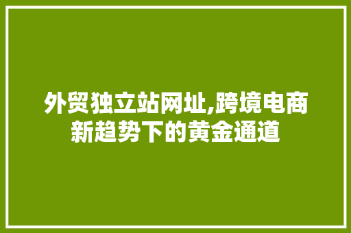外贸独立站网址,跨境电商新趋势下的黄金通道 外贸独立站网址,跨境电商新趋势下的黄金通道 必应SEO