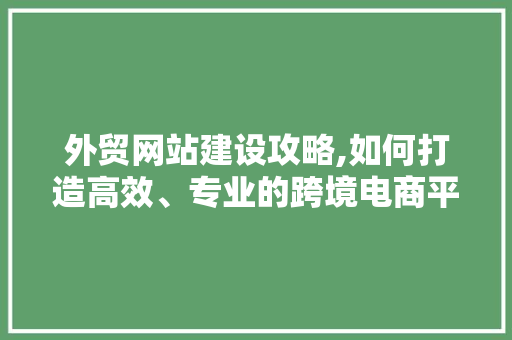 外贸网站建设攻略,如何打造高效、专业的跨境电商平台 外贸网站建设攻略,如何打造高效、专业的跨境电商平台 网站建设公司