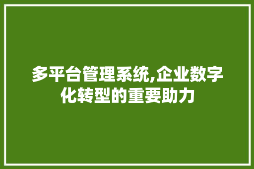 多平台管理系统,企业数字化转型的重要助力 多平台管理系统,企业数字化转型的重要助力 百度SEO