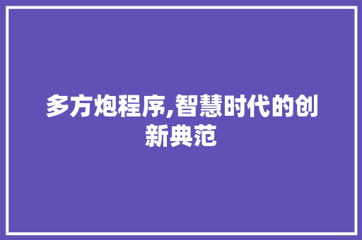 多方炮程序,智慧时代的创新典范 多方炮程序,智慧时代的创新典范 百度SEO