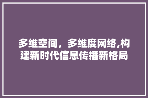 多维空间，多维度网络,构建新时代信息传播新格局 多维空间，多维度网络,构建新时代信息传播新格局 网站建设公司