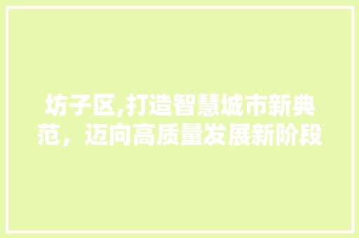 坊子区,打造智慧城市新典范，迈向高质量发展新阶段 坊子区,打造智慧城市新典范，迈向高质量发展新阶段 SEO关键词