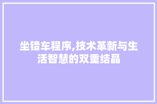 坐错车程序,技术革新与生活智慧的双重结晶 坐错车程序,技术革新与生活智慧的双重结晶 百度SEO