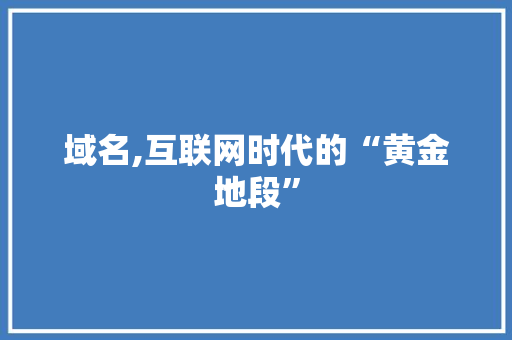 域名,互联网时代的“黄金地段” 域名,互联网时代的“黄金地段” SEO关键词