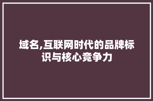 域名,互联网时代的品牌标识与核心竞争力 域名,互联网时代的品牌标识与核心竞争力 必应SEO