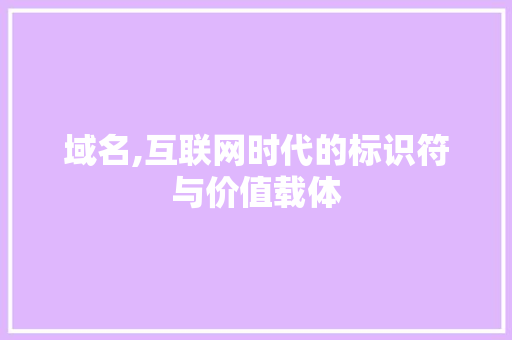 域名,互联网时代的标识符与价值载体 域名,互联网时代的标识符与价值载体 百度SEO